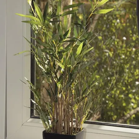 ! Promo! Evergreen - Free Public Parking-fast Wi-fi Apartmán *